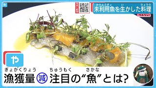 1尾の魚も無駄にしない…大阪・海を愛する人々の素敵な取り組み