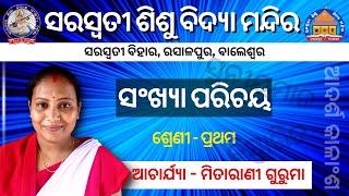 Class 1 - Math | ସଂଖ୍ୟା ପରିଚୟ | SSVM Rasalpur