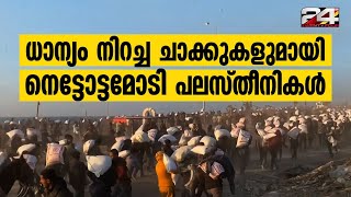 ഭക്ഷണവിതരണം നിർത്തി World Food Programme; ധാന്യമാവിന്റെ ചാക്കുകളുമായി ഓടി Palestinians | Food