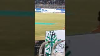 Alex hales fans moment | HBL PSL 5 | 2020 | Himayat Ullah Official