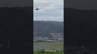 ANA B737 | Near Miss Averted by Go-Around and Takeoff | ITM/RJOO #Shorts