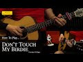 how to play DON'T TOUCH MY BIRDIE acoustic solo fingerstyle by Parokya Ni Edgar