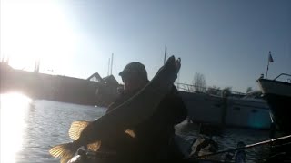 Pike fishing - Cold as ice / Snoeken / Hecht / Brochet