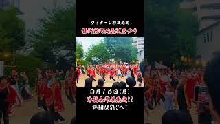 『彩夏花笑』　紅蓮のみんな、そしてお客さんと総踊り🕺💃　#よさこい　#shorts