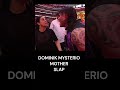 dominik mysterio mother slap