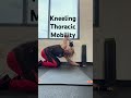 kneeling thoracic mobility strengthtraining