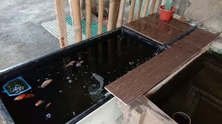 HOW TO MAKE DIY FISH POND using OLD REFRIGERATOR Recycled materials