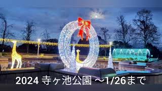 2024年 寺ヶ池公園イルミネーション・河内長野市 〜1/26まで午後5〜9時　無料駐車場あり