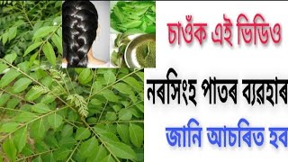 নৰসিংহ পাত আমাৰ বাবে বহুত উপকাৰী সদায় ব্যৱহাৰ কৰক ।