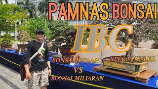 Pemeran Bonsai IBC spektakuler. bonsai jutaan vs Bonsai Miliaran. #pameranbonsai #kontesbonsai #art