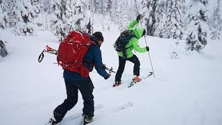 Backcountry Avalanche Training - Companion Rescue (single burial)