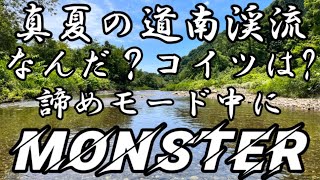 【北海道渓流】諦めモード中にMONSTER