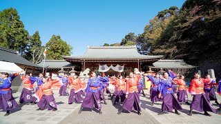 [4K] 京炎 そでふれ！京躍華　龍馬よさこい 2019 2日目