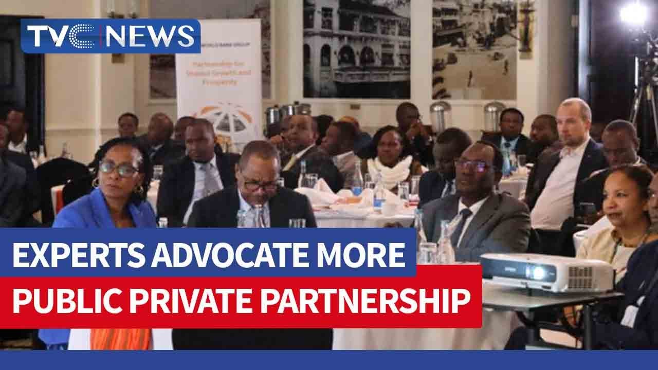 Experts Advocate More Public Private Partnership - YouTube