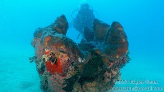 HDObservations : Giant Clam (4K UHD)