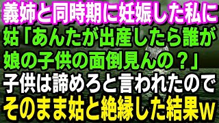 【スカッとする話】義姉と同時期に妊娠した私に姑「あんたが出産したら誰が娘の子供の面倒見んの？」子供は諦めろと言われたので私「わかりました、孫は産みません」そのまま義母とは縁を切った結果