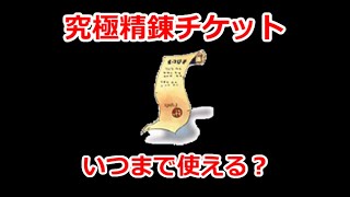 【RO】脳筋IGの禁忌の研究　究極精錬の期限について