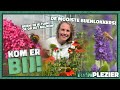 Kom erBIJ! 🐝 🦋 Welke planten kies je voor meer bijen en vlinders in de tuin? | Tuinplezier 🪴