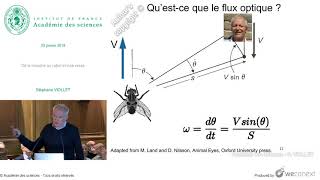 [Conférence] S. VIOLLET - De la mouche au robot et vice versa