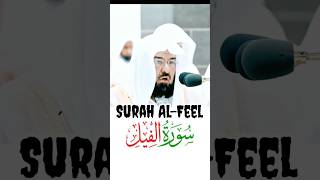 Surah Feel By Shaikh Abdul Rahman Sudais | Abdul Rahman Sudais | Sheikh Sudais | Sudais #shorts