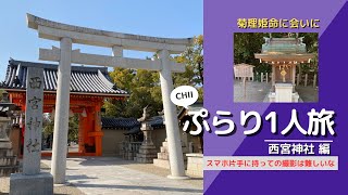 CHIIぷらり1人旅／誰かに呼ばれた？西宮神社 編