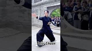 Tai Chi chuan that everyone envies #kungfu #taijiquan