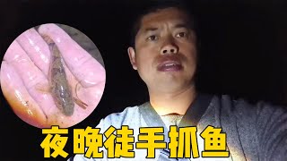 深夜老羅獨自去河裡徒手抓魚，抓到一條接一條，晚上魚睡得太香了#侗家老羅