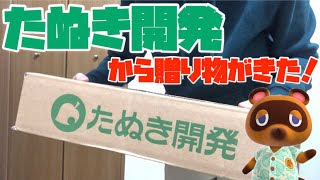 【あつ森】たぬき開発から荷物が届いた！【あつ森マイグッズコレクション】