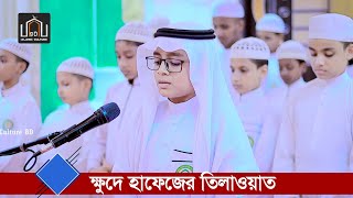 ক্ষুদে হাফেজের বিস্ময়কর তিলাওয়াত। হাফেজ মুজাহিদুল ইসলাম। Hafez Mujahidul Islam. Quran Tilawat.