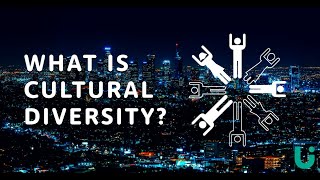 What is cultural diversity? | Language Insight