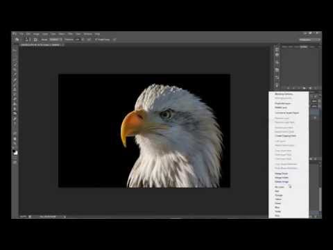 Create Black Background in Photoshop Create Black Background in Photoshop