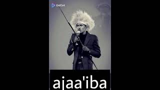 haacaaluu hundeessaa ajaa,ibaa new ethiopian music