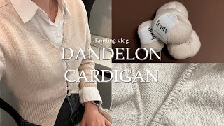 knitting vlog. 헛소리가 난무하는 뜨개로그  | 단델리온 가디건