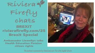 25: Brexit Pensions Health Citizenship with AmbassadorLlewellyn