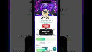 【Pokémon Go】 IV100 融合卡背 異色 拂曉之翼/黃昏之鬃 奈克洛茲瑪