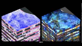 Wheeler Volume of seismic and spectral decompostion data