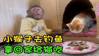 为了让猫妈妈能吃到鱼，小猴子去找小羊帮忙，成功钓到一条大鱼