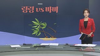 [그래픽 뉴스] 링링 vs 바비 / 연합뉴스TV (YonhapnewsTV)