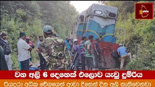 වන අලින් 6ක් එළොව යැවු මීනගයා #lakjananews #politicalnews #elephantattack #railway #minagaya