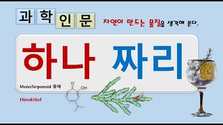 🎨[과학인문17  자연이 만드는 물질을 생각해 본다] - 14 MonoTerpenoid 중 편백나무의  Hinokitiol, 그리고 여담으로 진토닉과 그 칵테일 - 성골과 진골