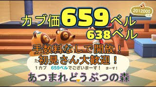 カブ価659ベル、638ベルを無償開放！ 往復OK！初見さん大歓迎！ 【あつまれどうぶつの森】【ライブ配信】