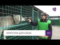 Новини ПТРК 07.01.2025