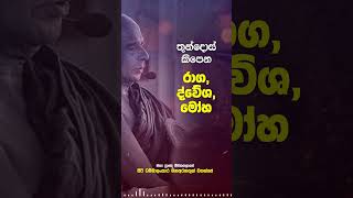 ⭕ තුන්දොස් කිපෙන රාග, ද්වේශ, මෝහ, කෙලෙස් |  #නිබ්බාන_මග #sirisaddharmaya