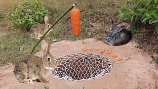 Easy Creative Underground Wild Rabbit Trap Make From Nest And Carrots - Traditional Rabbit Trap