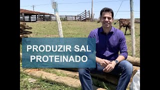 COMO FAZER SAL PROTEINADO PARA O GADO?