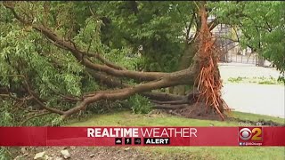 Storms Bring Down Trees, Flood Fields