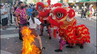 【正氣龍獅鼓藝坊-醒獅團】~111木柵忠順廟恭迎保儀大夫出巡遶境