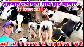 पचोखरा पशु मंडी फिरोजाबाद | pachokhara Pashu Mela | 27 दिसं. 2024 | सबसे ज्यादा दुधारू व सुंदर गाय