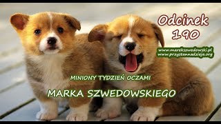 Miniony tydzień oczami Marka Szwedowskiego - odcinek 190