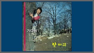 기다림 - 장미리 / 1973 (가사)